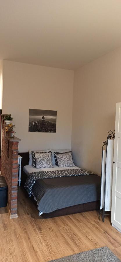 Studio Flat In A Historical XIX C. Building. Каунас Екстериор снимка
