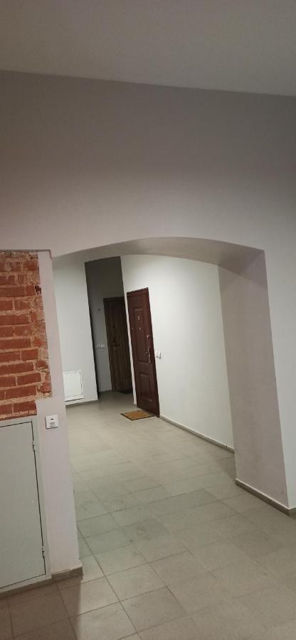 Studio Flat In A Historical XIX C. Building. Каунас Екстериор снимка